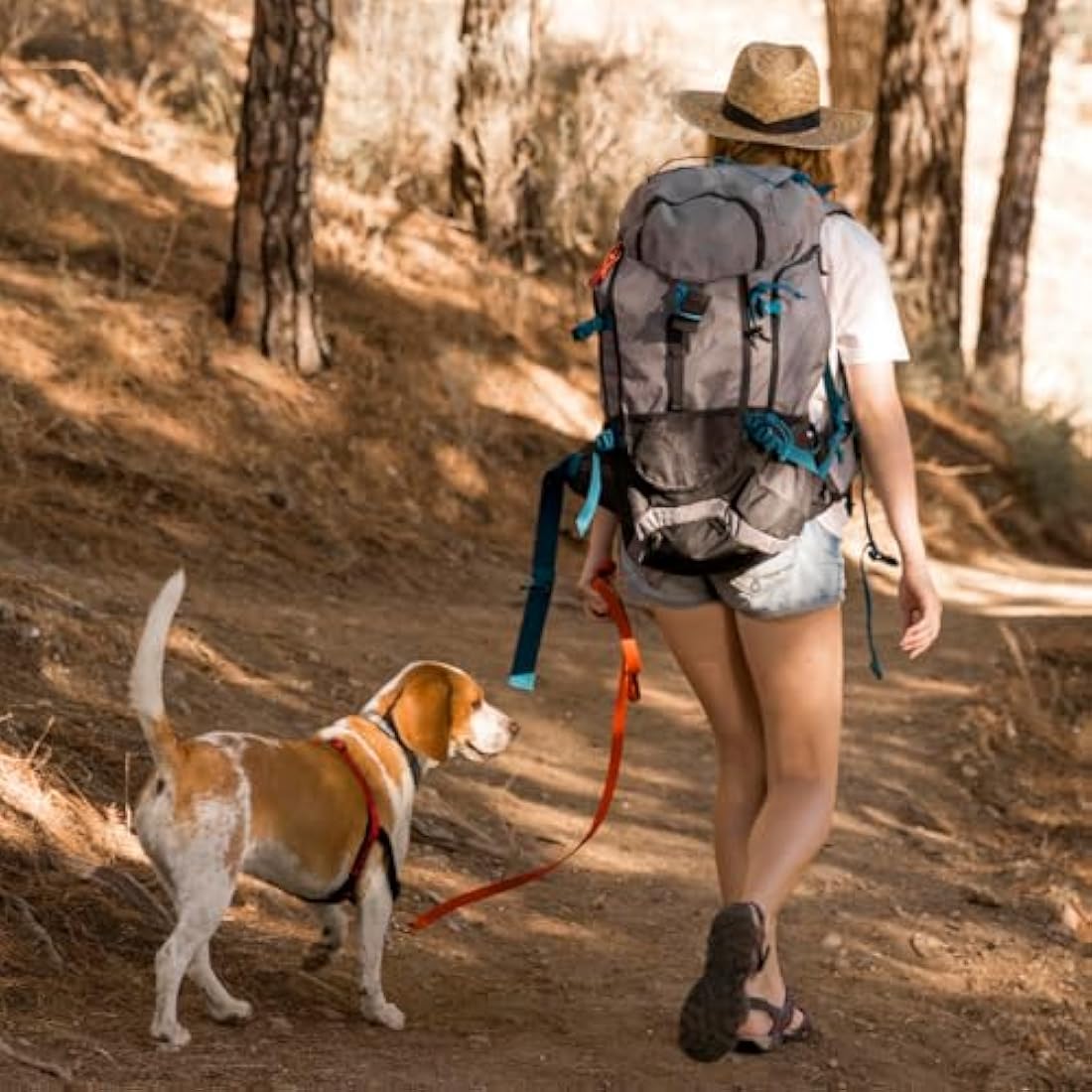 Viper Biothane Waterproof Tracking Lead – Durable Dog Long Line