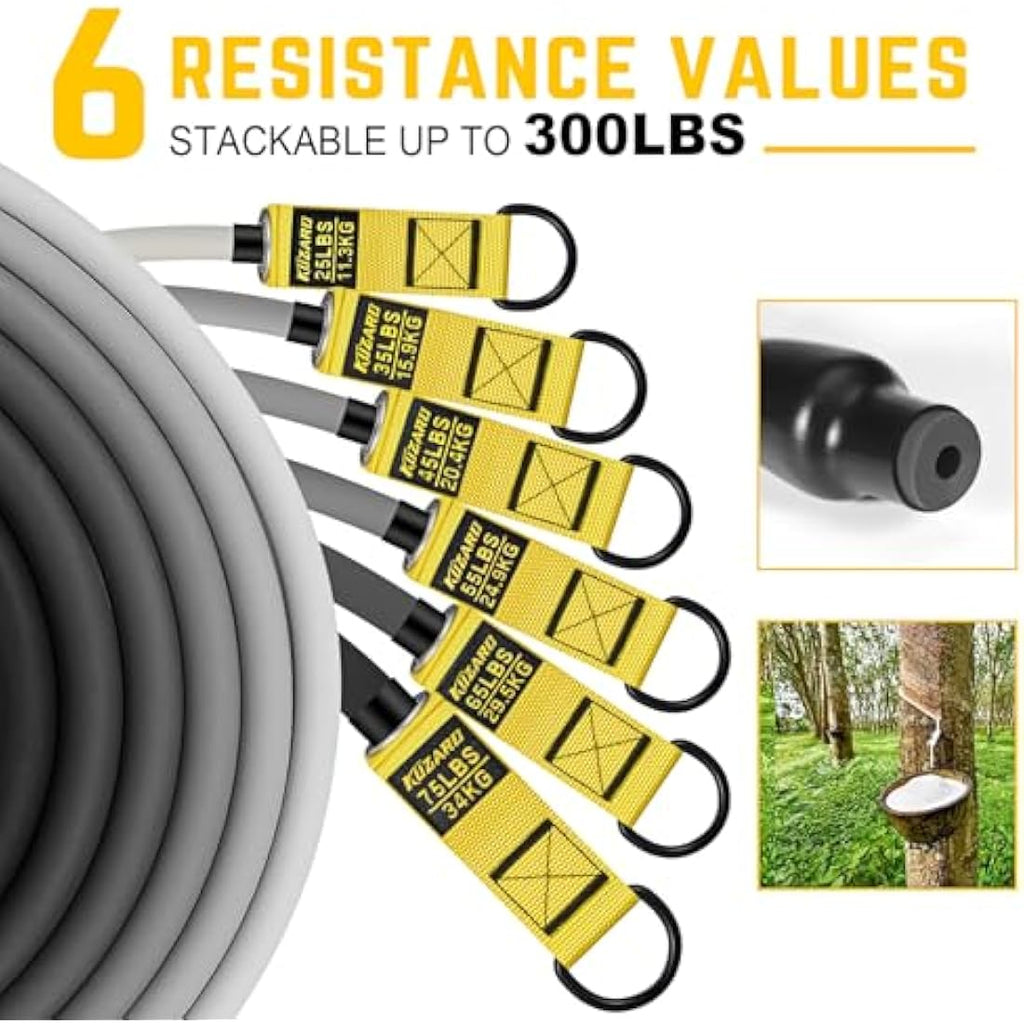 300lbs Resistance Bands Set | 6 Levels for Home Gym Training