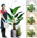 Wolezek Full Spectrum LED Grow Light | 65in Adjustable Height & Timer