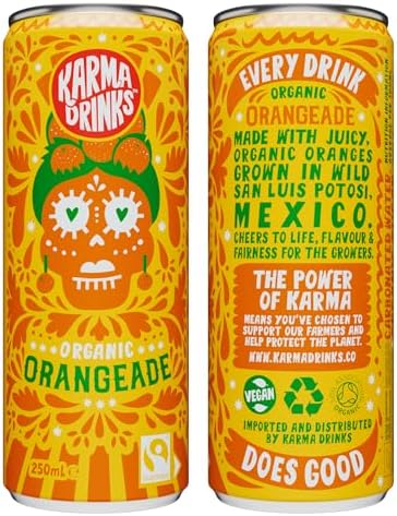 Karma Drinks Organic Orangeade – Fairtrade Fizzy Soft Drink, 24 x 250ml