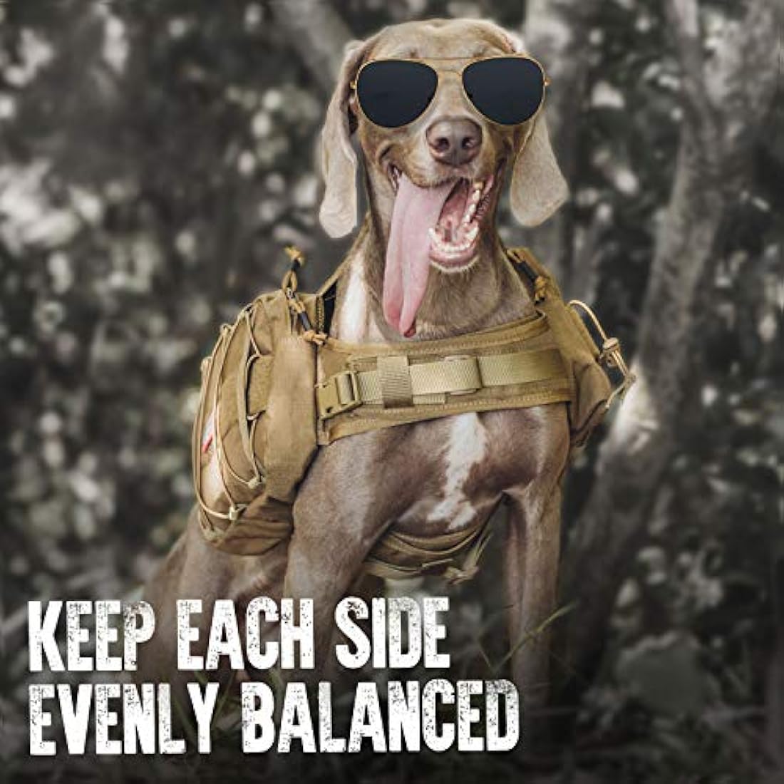 OneTigris Mammoth Dog Backpack 2.0 – Tactical Hiking Pack for M/L Dogs