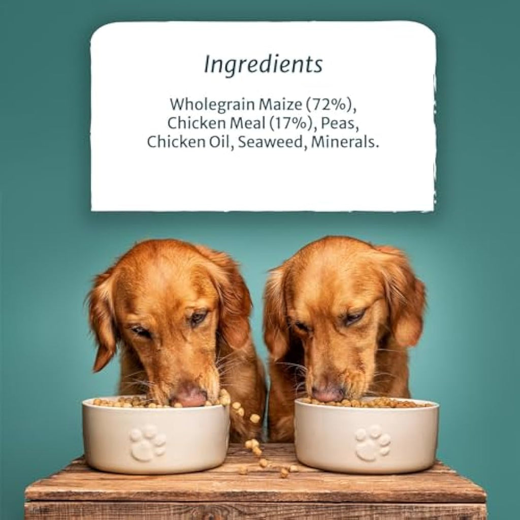 Burns Pet Nutrition Hypoallergenic Chicken Dry Dog Food - 6kg