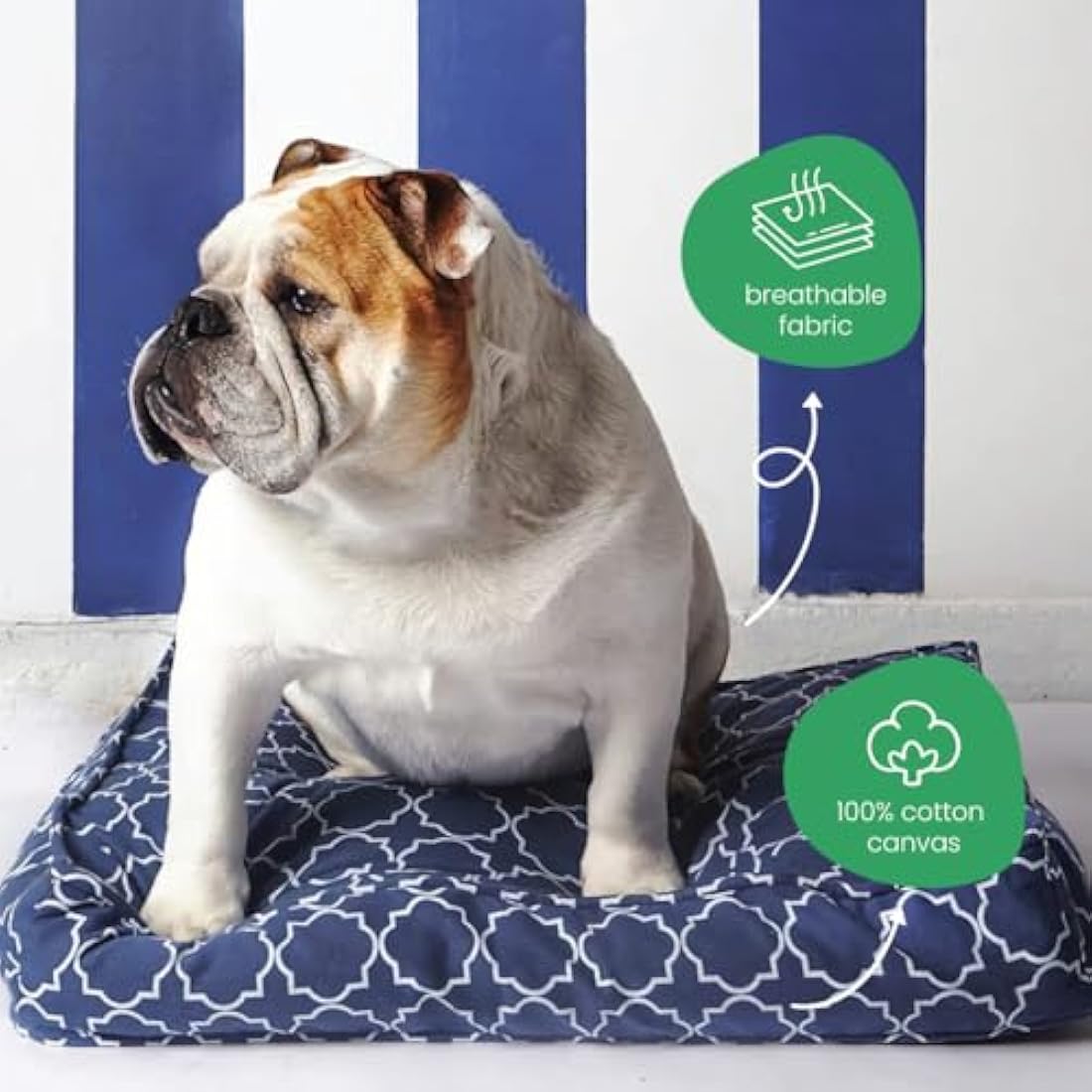 Molly Mutt Small Dog Bed Cover | 100% Cotton | Romeo & Juliet Print