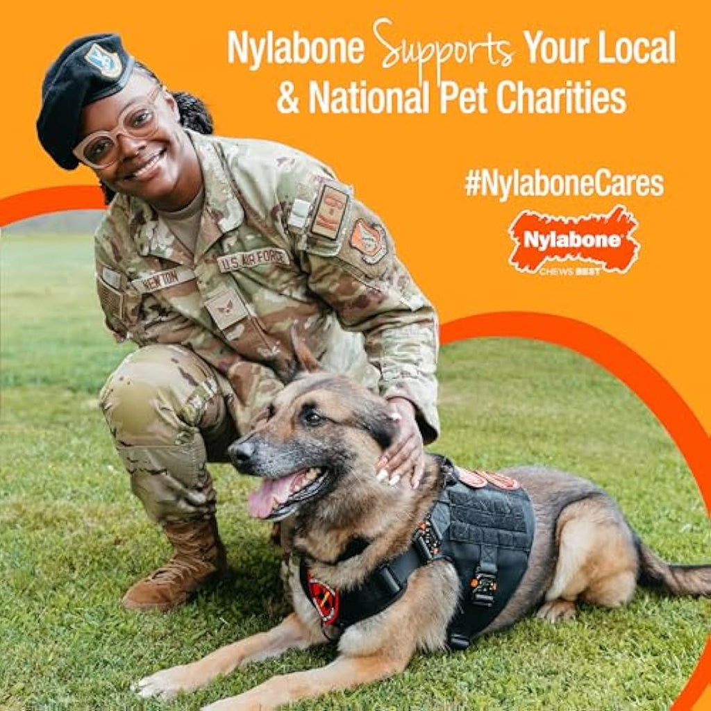 Nylabone Dura Chew Dog Toy - Durable Nylon Bone - Chicken - XL
