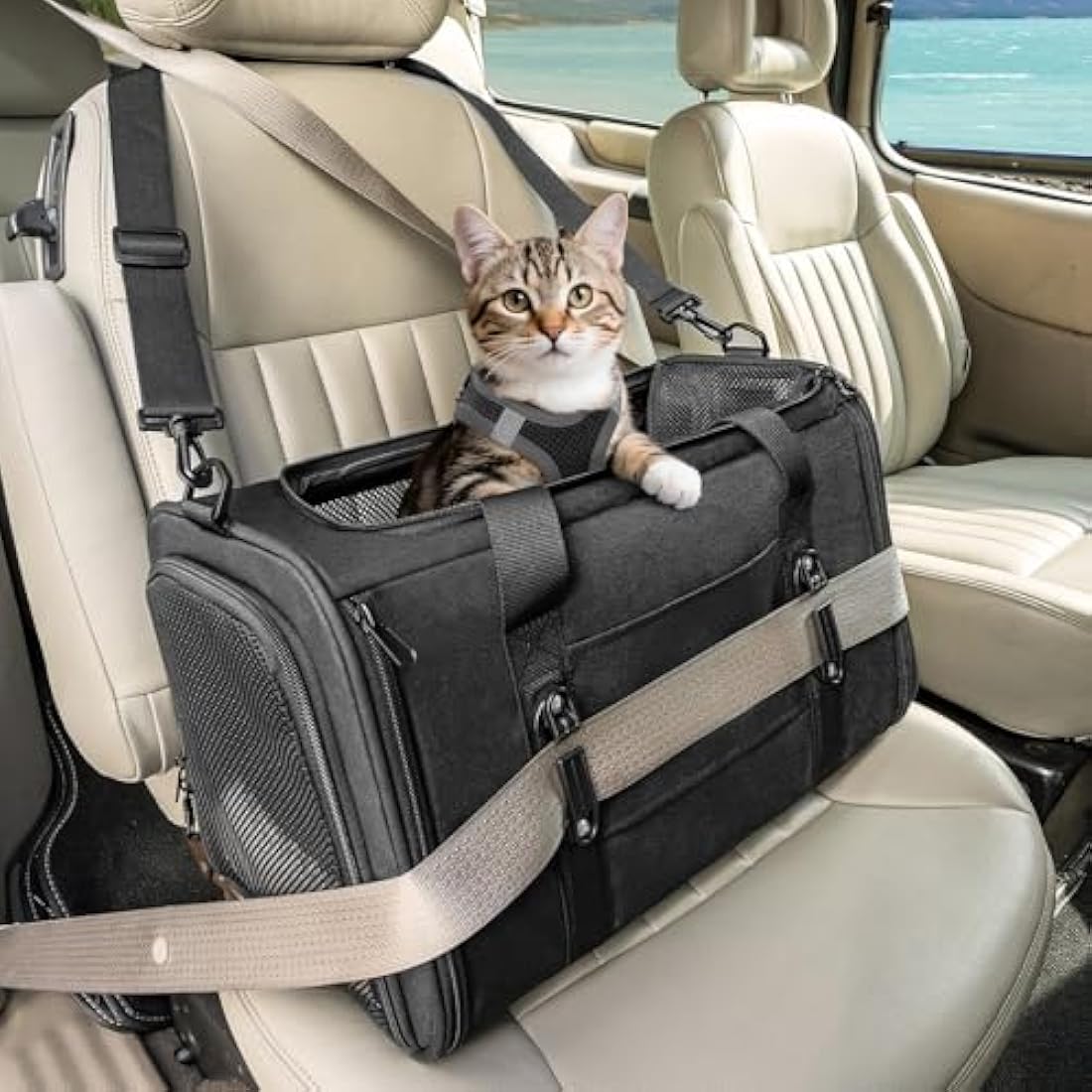 Petsfit Soft-Sided Cat Carrier – Car Safe Pet Travel Bag with Buckle