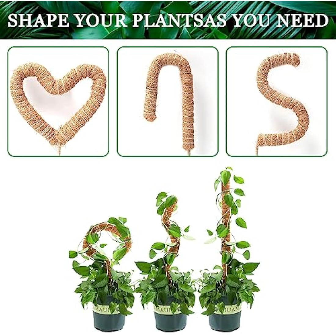 2-Pack Bendable Coir Moss Poles for Monstera - 60cm & 120cm