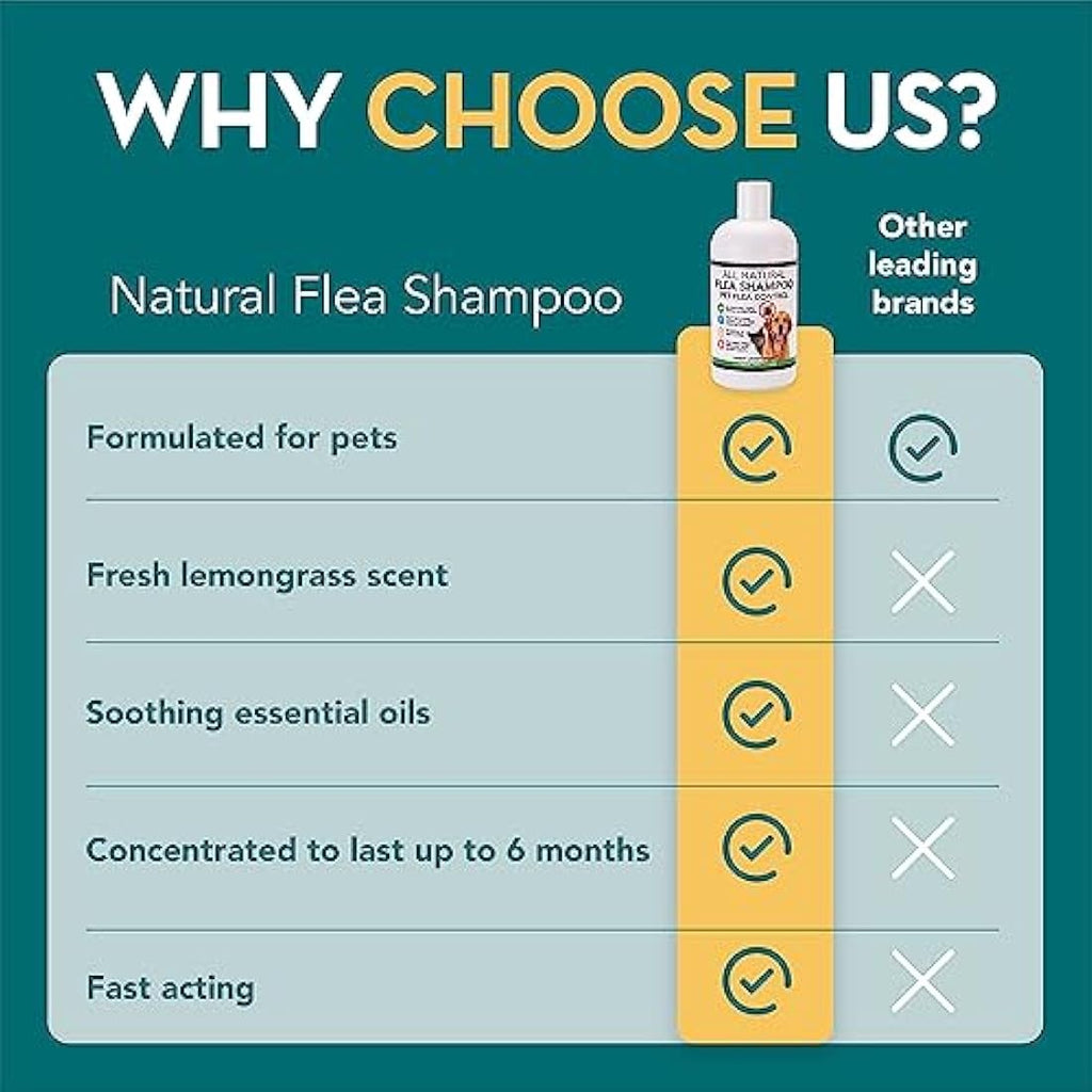 The Healthy Dog and Cat Co. Natural Flea Shampoo – Vegan Quassia Wash