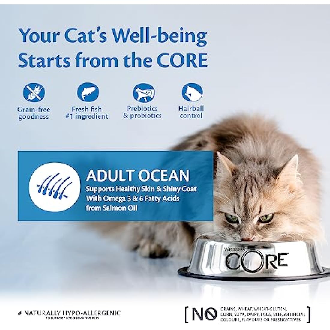 Wellness CORE Adult Ocean Salmon & Tuna Grain-Free Dry Cat Food - 300g