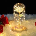 Galaxy Eternal Rose in Glass Dome – LED Artificial Flower Gift