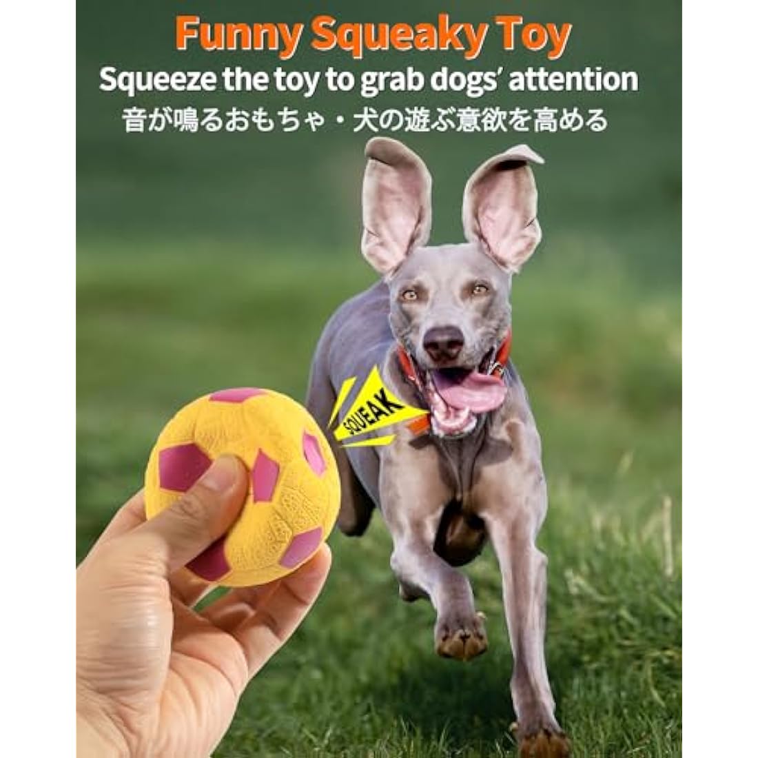 Squeaky Dog Balls – 4 Pack Soft Latex Rubber Fetch Toys