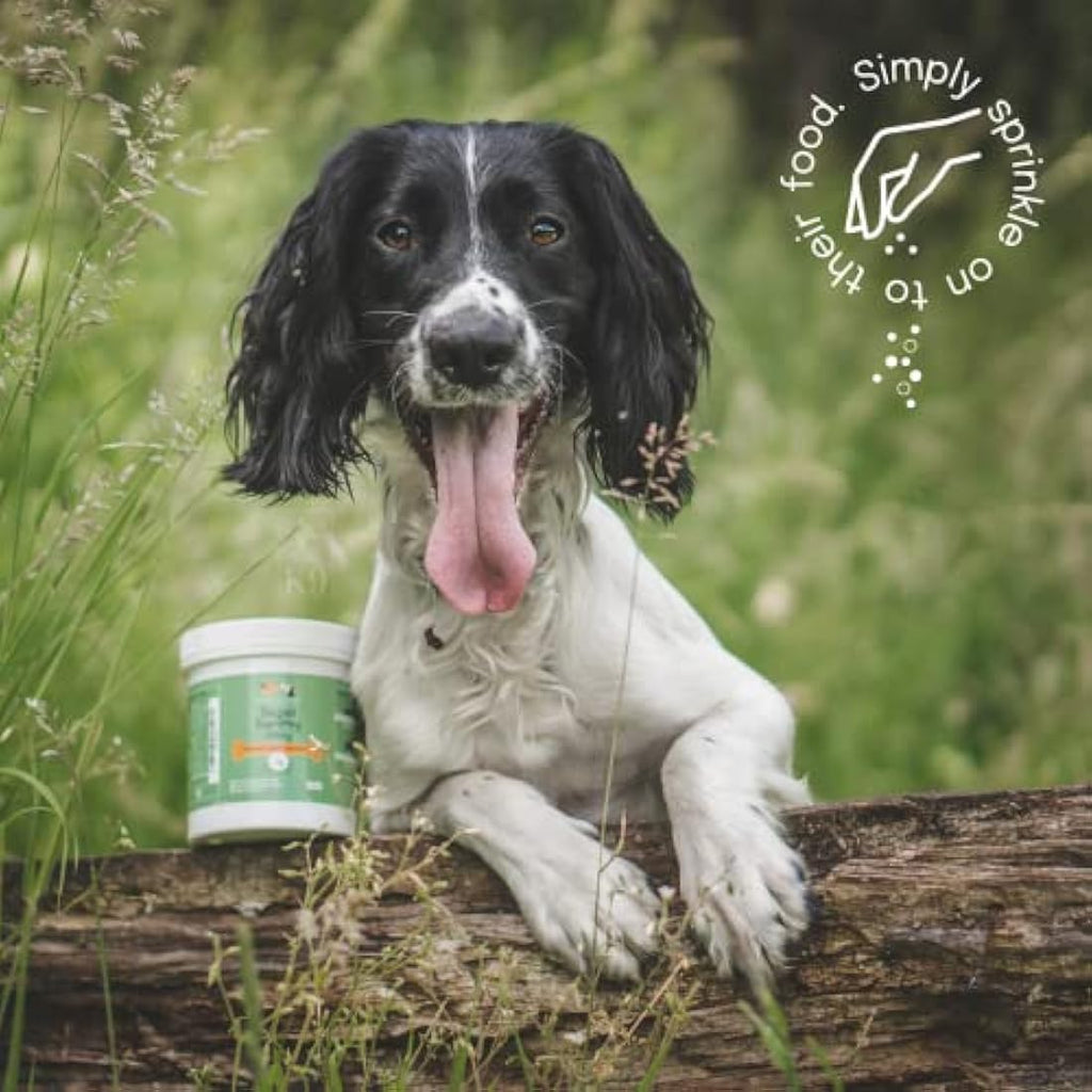 Buddy & Lola Dog Probiotics & Prebiotics Powder – Digestive Support 300g