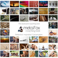 metaFox Building Resilience Therapy Cards | 52 Mindfulness Coaching Tools