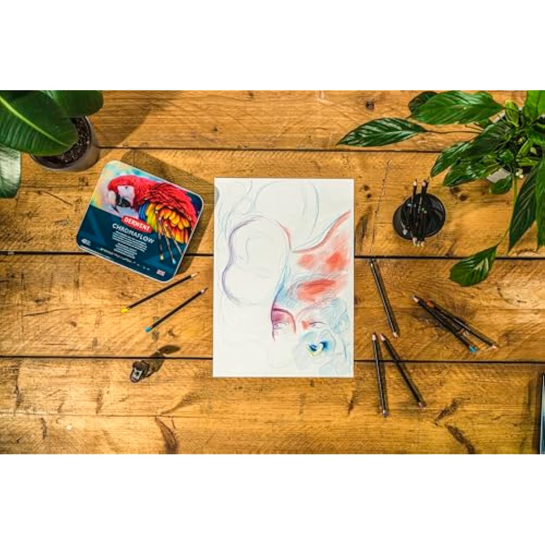 Derwent Chromaflow Colored Pencils – Set of 48 Professional Tin