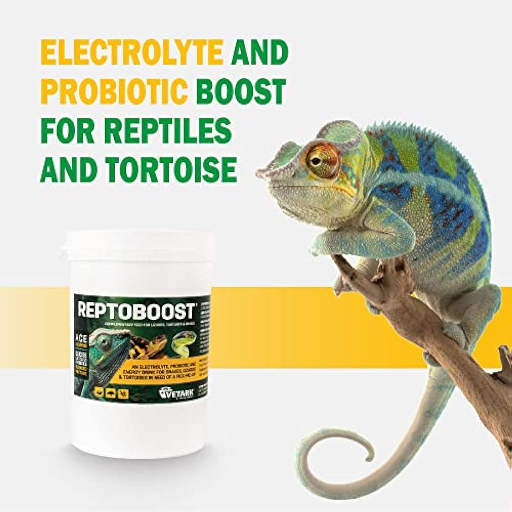 Vetark Reptoboost Probiotic & Electrolyte Supplement for Reptiles - 300g