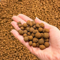 Clay Pebbles for Hydroponics - Eco-Friendly Growing Medium (1L)