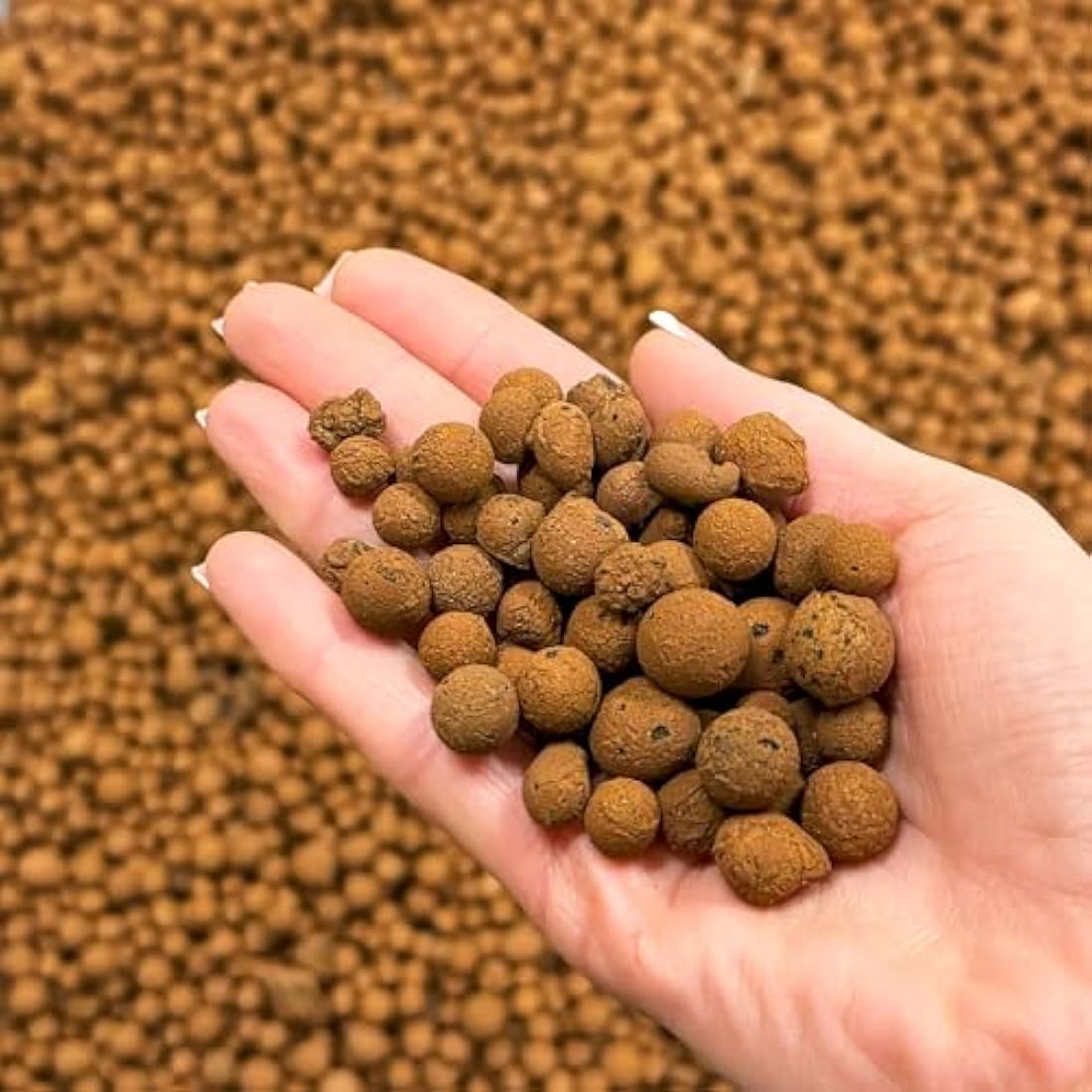 Clay Pebbles for Hydroponics - Eco-Friendly Growing Medium (1L)