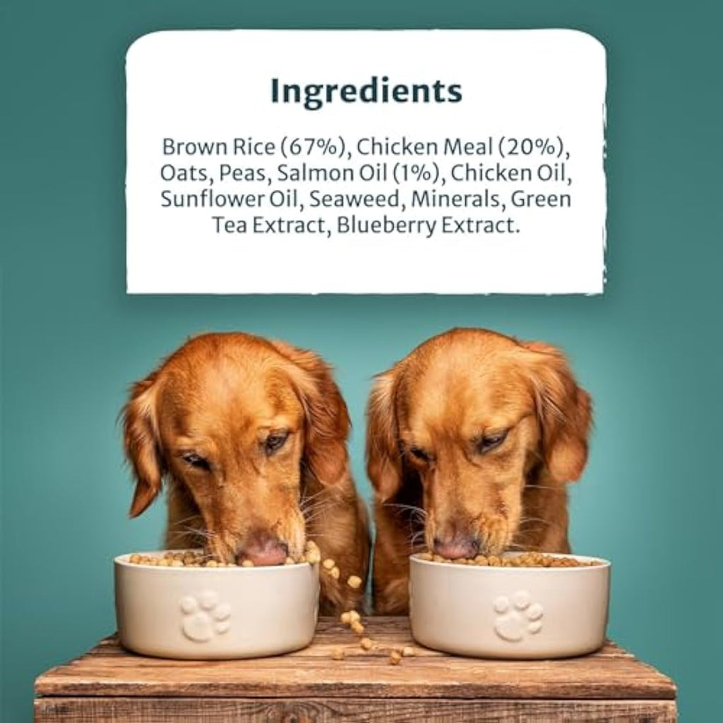 Burns Pet Nutrition Chicken & Brown Rice Hypoallergenic Dog Food - 2kg