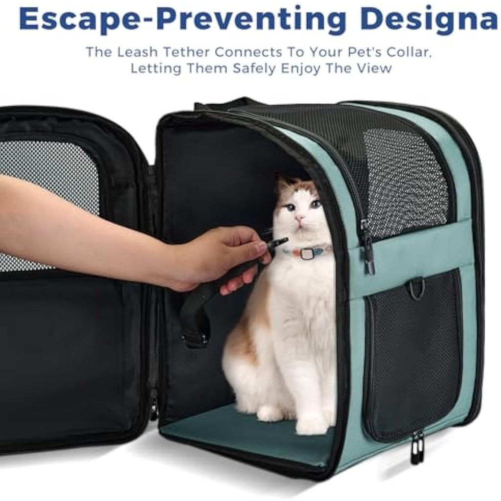 Apollo Walker Pet Carrier Backpack – Large Airline Approved Travel Bag, Blue