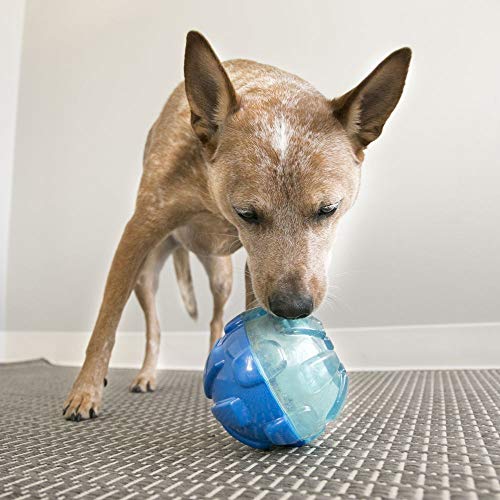 KONG Rewards Ball – Durable Interactive Treat Dispensing Toy for Large Dogs