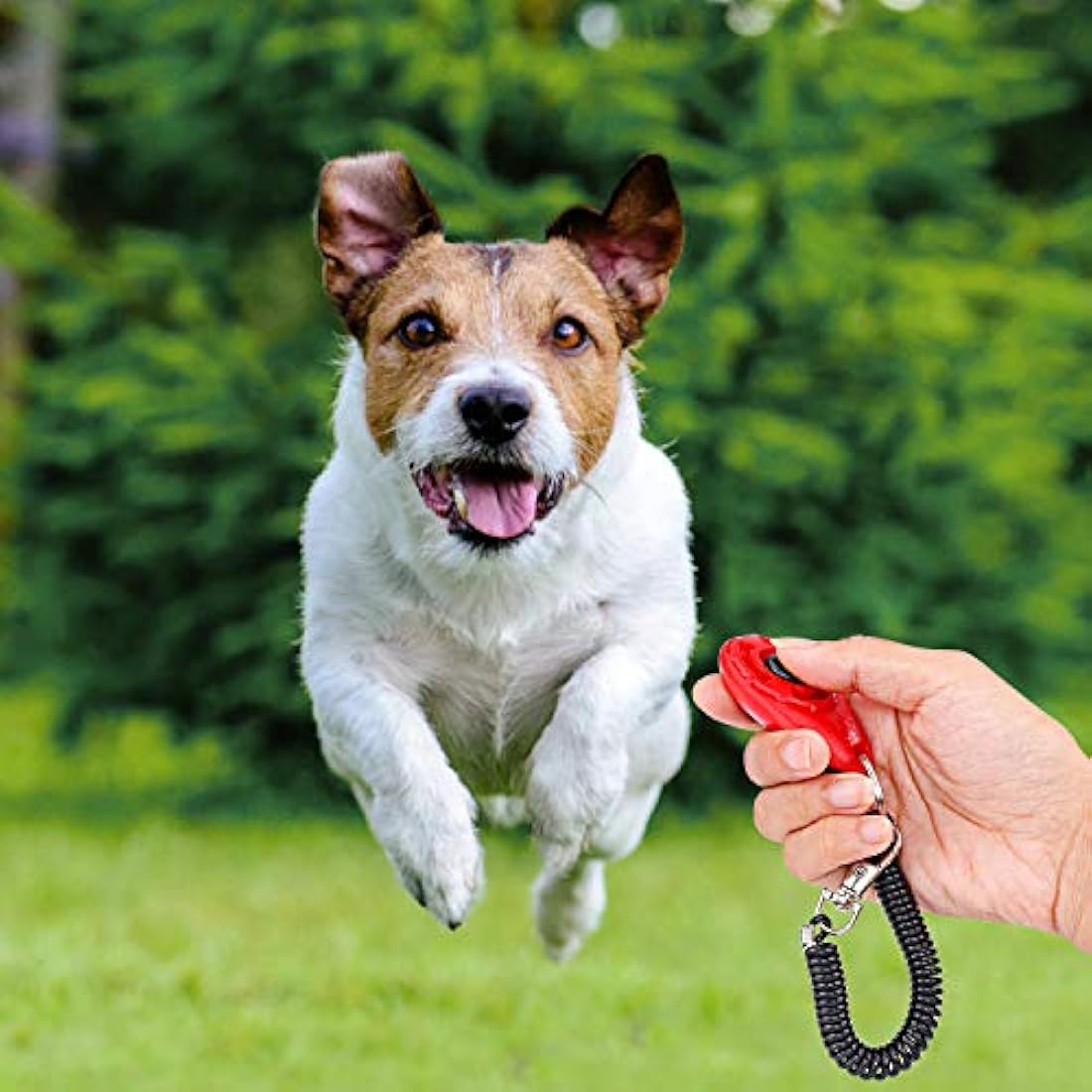 Dog Training Clickers with Wrist Strap - 4-Pack Set