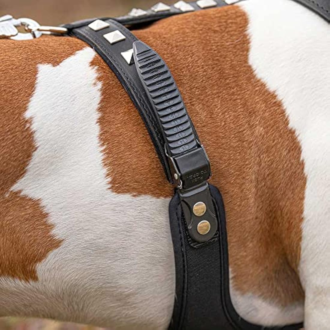 Ferplast Giotto Luxor Leather Dog Harness with Pyramid Studs - Black