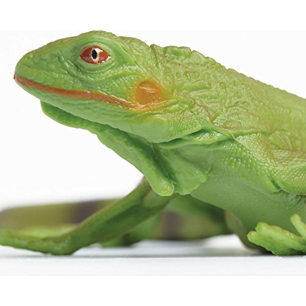 Safari Ltd Toob Green Iguana Baby Figurine – Hand Painted Reptile Toy