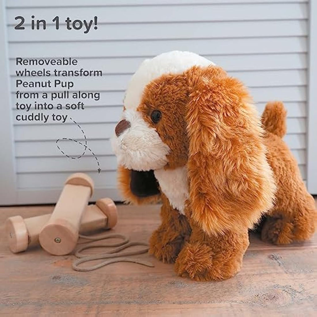 Little Bird Told Me Peanut Pup Pull Along Toy – 2-in-1 Sensory Plush