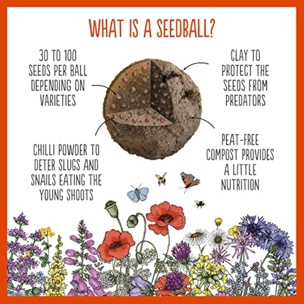 Seedball Red Poppy Seed Bombs – 100 Pack Peat-Free Wildflower Seeds