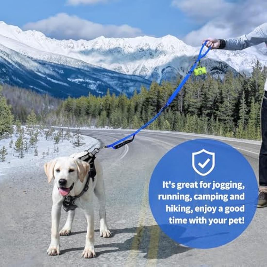 IOKHEIRA Bungee Dog Leash – Anti-Pull Lead with Car Seat Belt Buckle