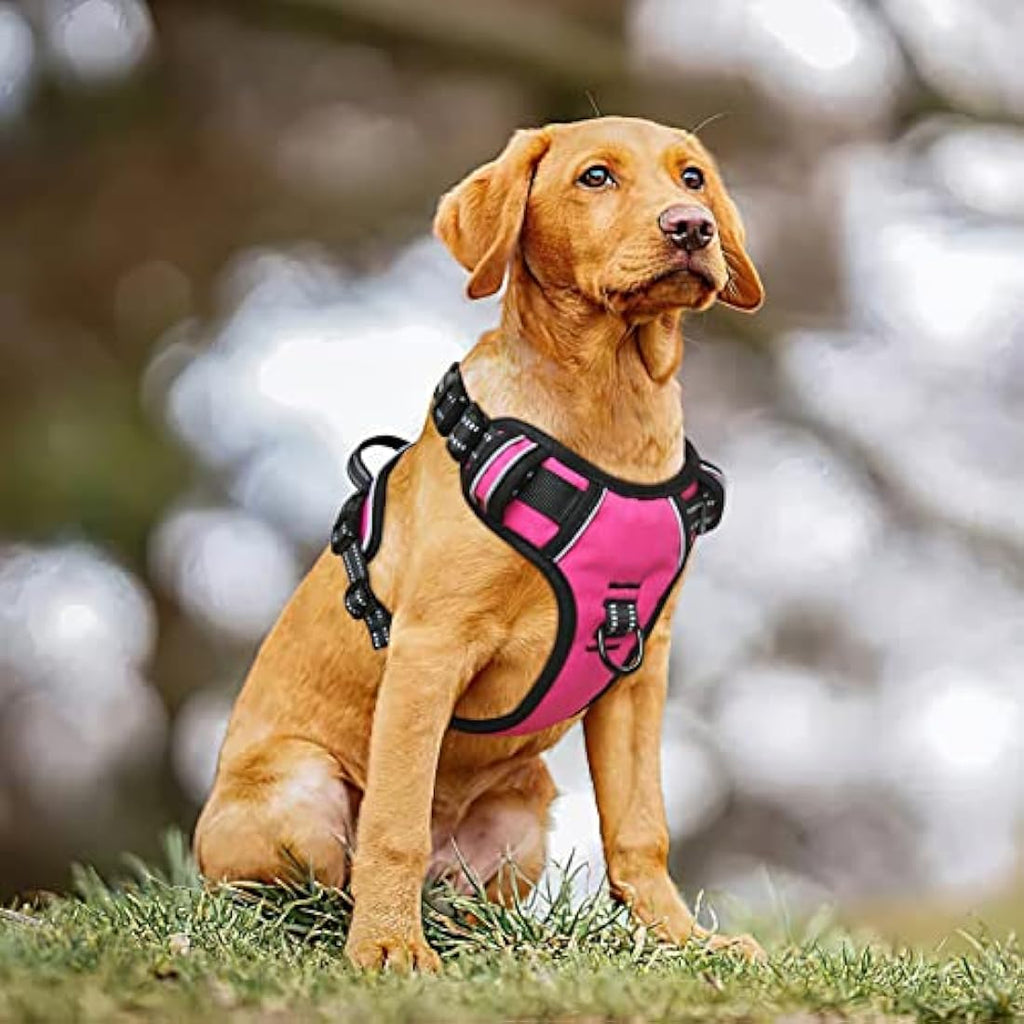 HEELE No Pull Dog Harness – Reflective Padded Oxford Vest, Fuchsia, Large