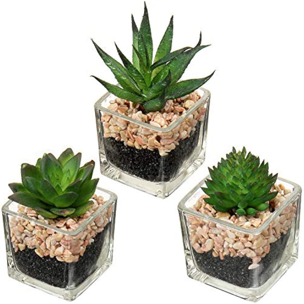 Briful Artificial Succulents - Set of 3 Faux Plants in Mini Glass Pots