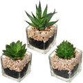 Briful Artificial Succulents - Set of 3 Faux Plants in Mini Glass Pots