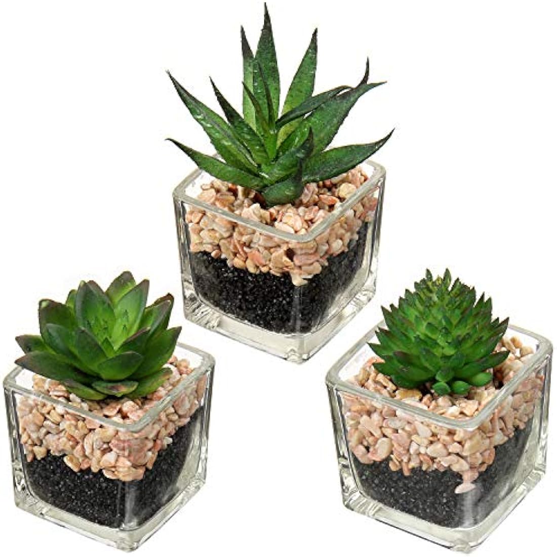 Briful Artificial Succulents - Set of 3 Faux Plants in Mini Glass Pots