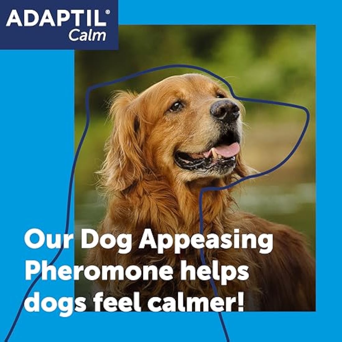 Adaptil Calm Home Diffuser for Dogs | Pheromone Plug-In with 30 Day Refill