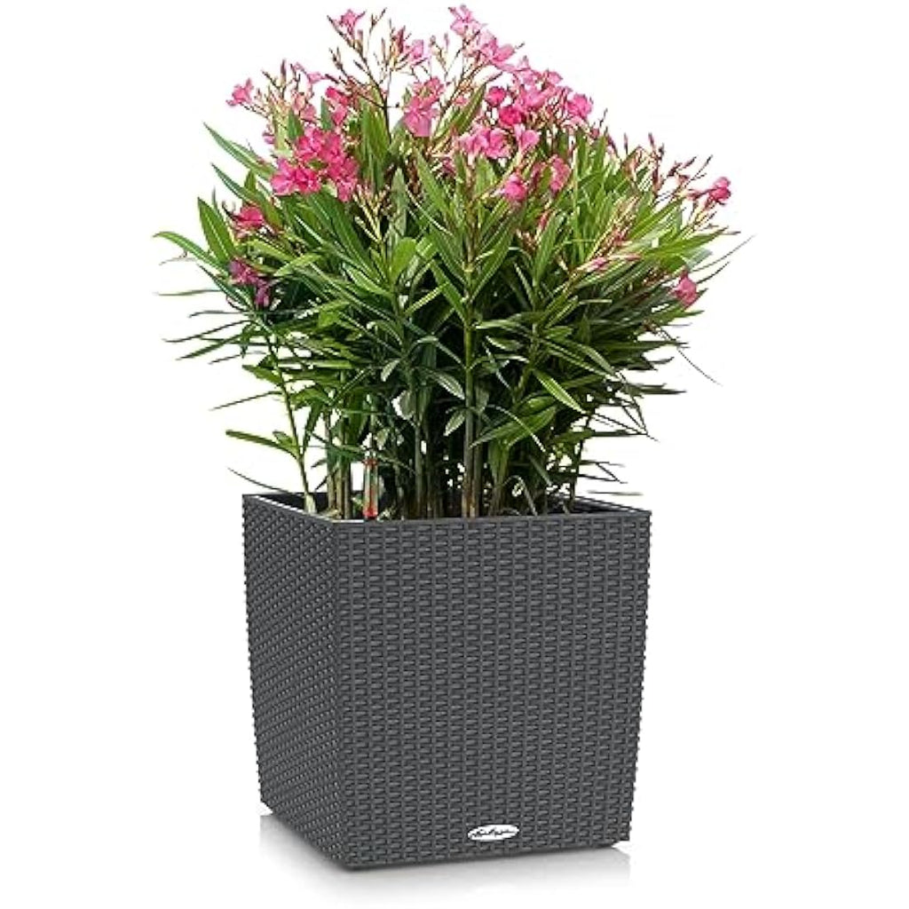 Lechuza CUBE Cottage 40 Self-Watering Planter - Rattan Look Granite
