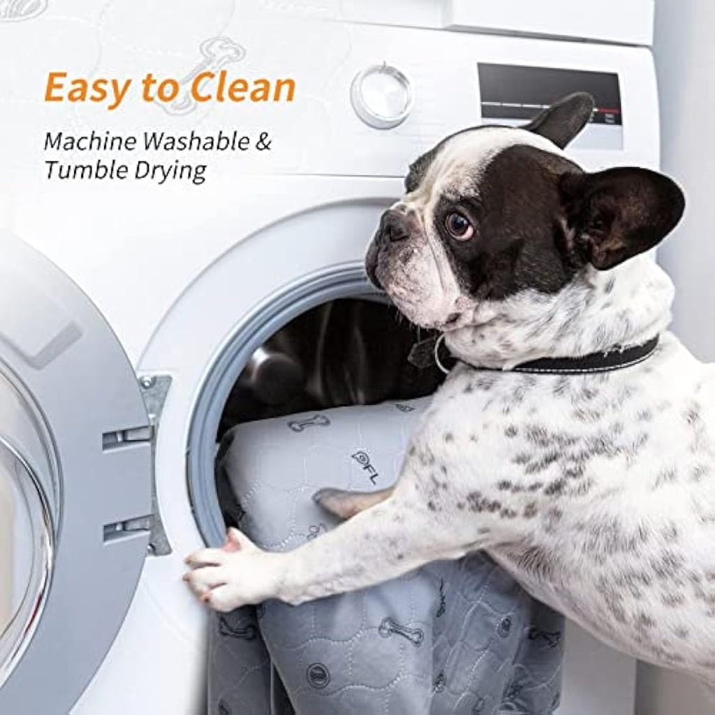Washable Dog Pee Pad – Extra Large 168x125cm Reusable Mat