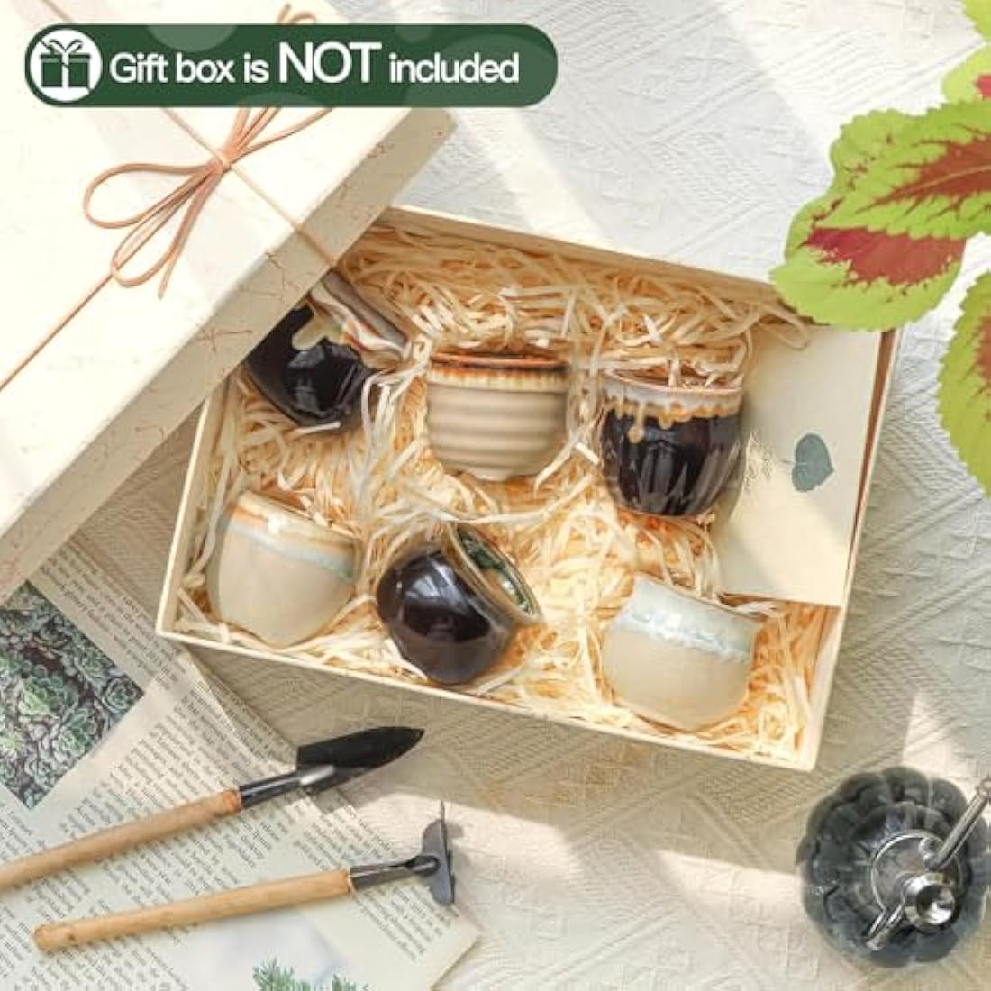 T4U Mini Ceramic Succulent Pots with Drainage - Set of 6 Porcelain Planters