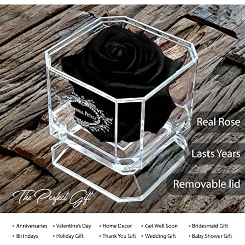 Eternal Petals Preserved Infinity Rose – Handmade Real Rose in Black