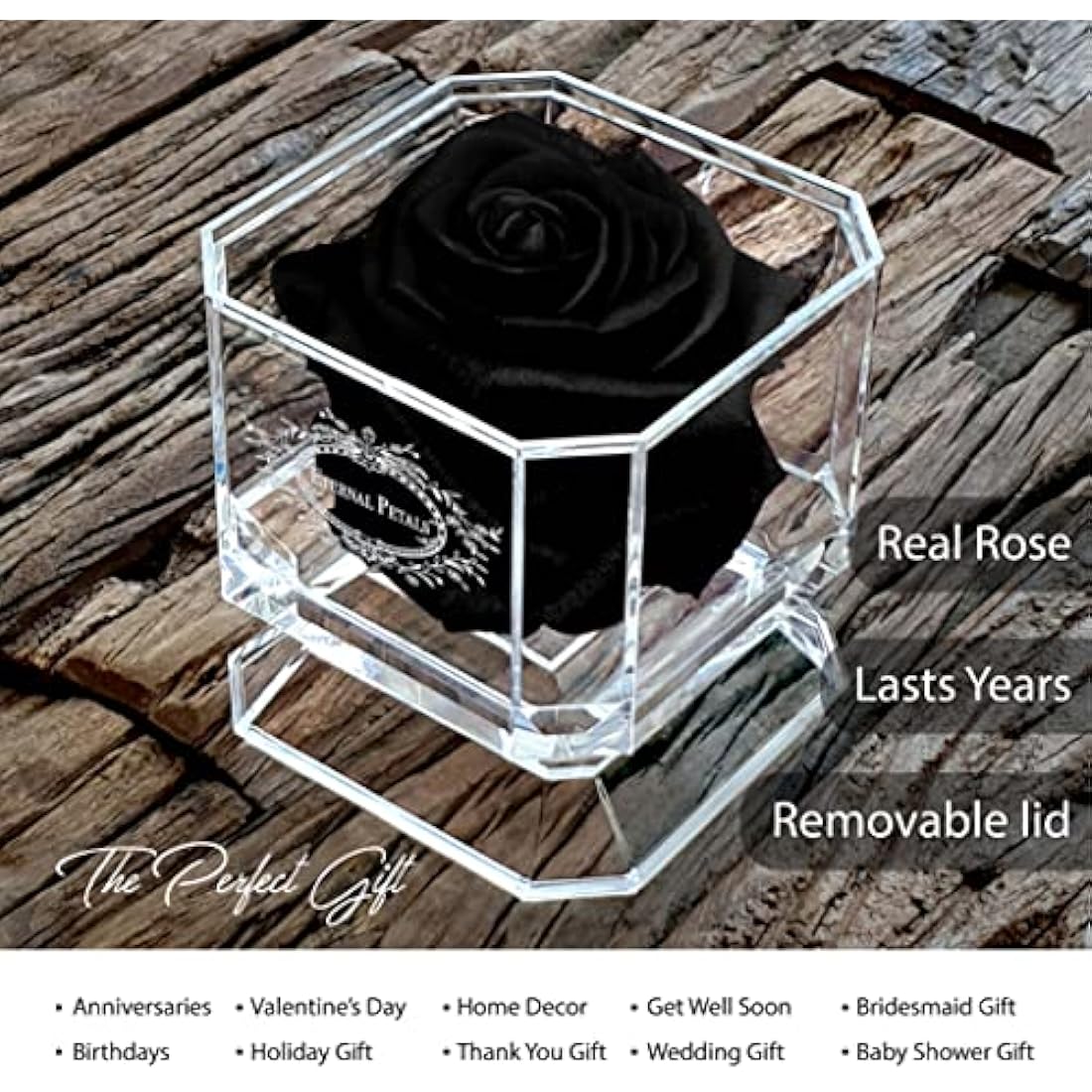 Eternal Petals Preserved Infinity Rose – Handmade Real Rose in Black