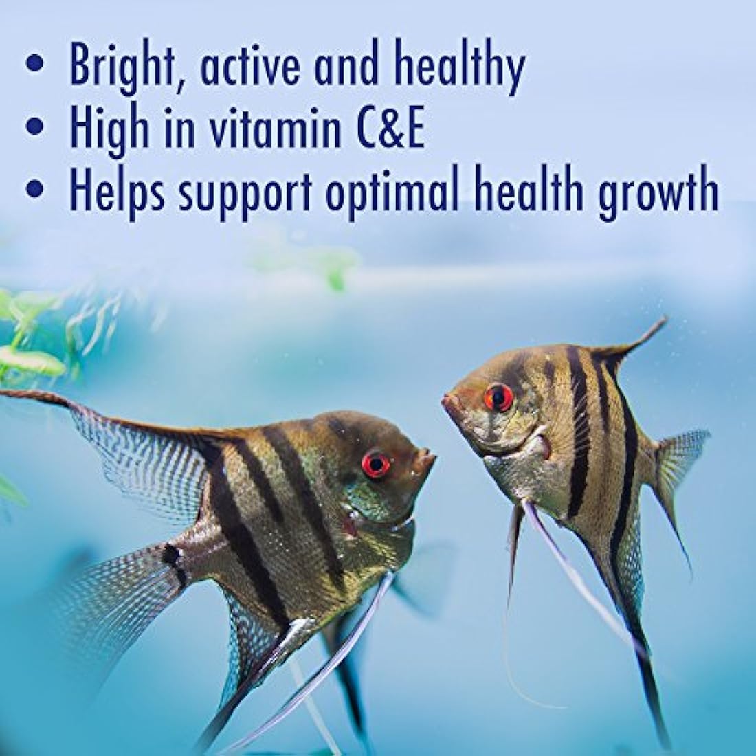 AQUARIAN Tropical Fish Food Flakes – Complete Nutrition, 25g Pot