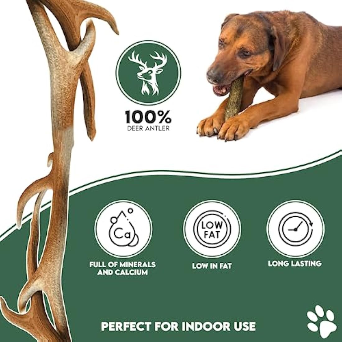 Jolof Store Natural Split Antler Dog Chew – Hypoallergenic (Small)