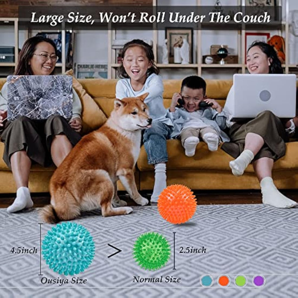 Jolof Store Squeaky Dog Toy Balls – 4 Pack Spikey Durable Dog Toys
