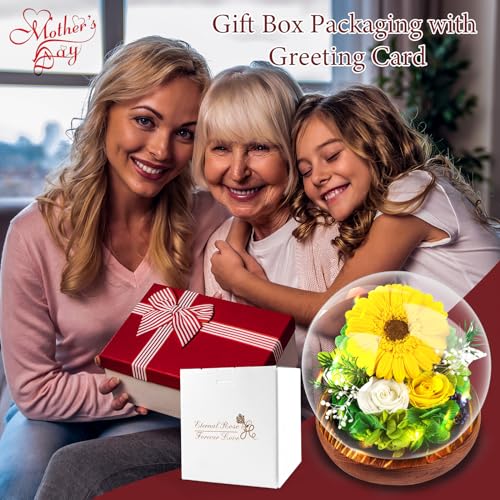 Preserved Sunflower in Glass Dome with LED Lights Gift Box