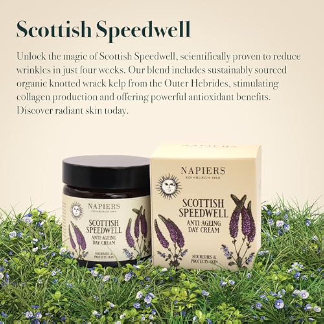 Napiers Speedwell Ageless Day Cream | Anti-Aging & Wrinkle Care | 60ml