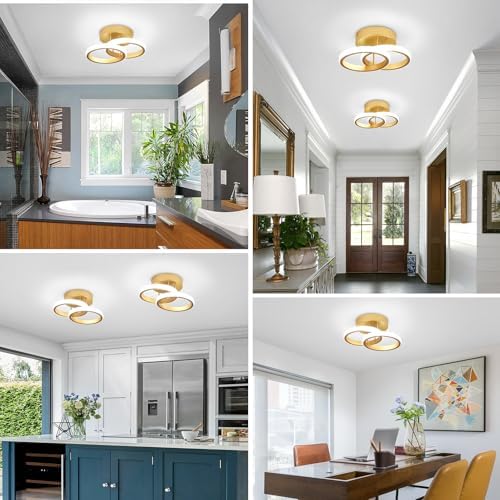 Jolof Store Modern LED Ceiling Light – 22W Gold Flush Mount 6000K