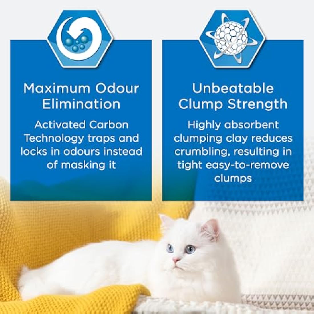 Ever Clean Clumping Cat Litter – Scented Multicat Formula, 10L