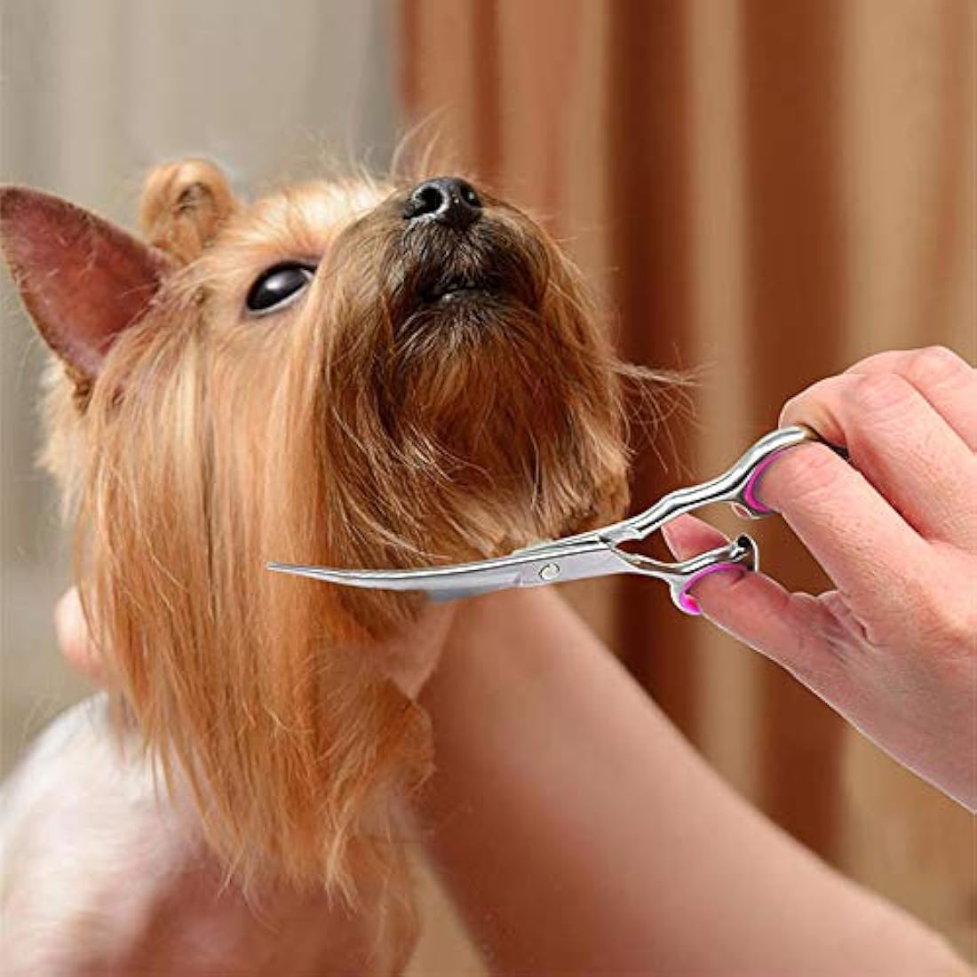 DONGKER 6" Pet Grooming Scissors – Curved Stainless Steel Dog Shears