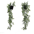 Jolof Store Set of 2 Hanging Artificial Plants with Black Pots – Faux Vines