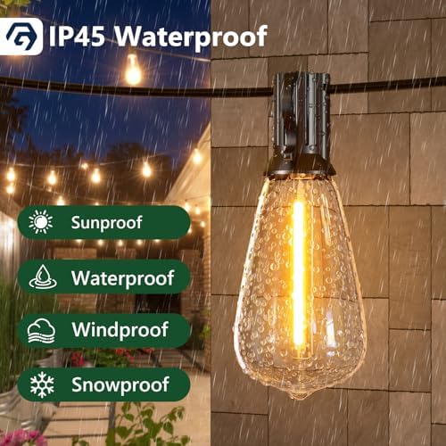 Festoon Lights – 100FT Waterproof ST38 LED Outdoor String Lights