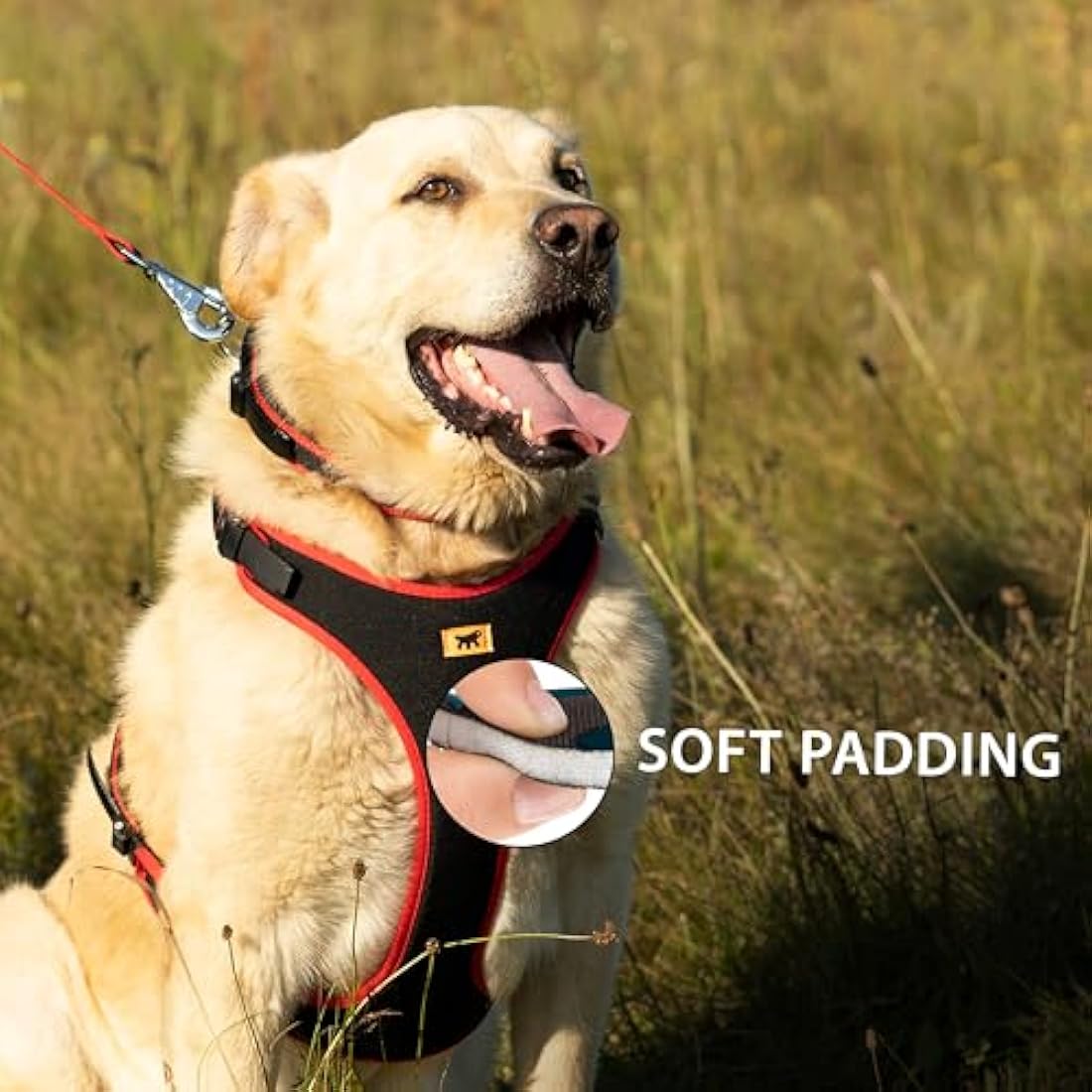 Ferplast Ergocomfort Medium Dog Harness | Padded Nylon - Red